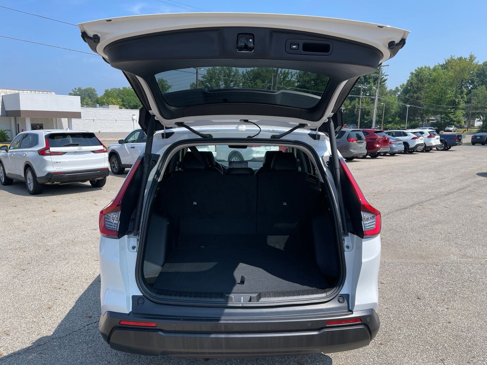 2023 Honda CR-V EX-L w/o BSI