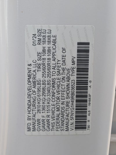 2024 Honda Pilot EX-L 8 Passenger