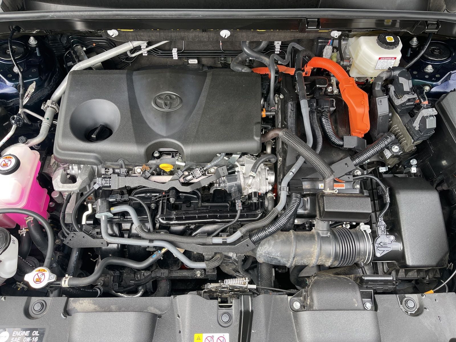 2024 Toyota Venza XLE